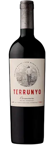 TERRUNYO_CAR-thumb