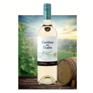 casillero-del-diablo